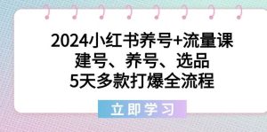 2024小红书养号+流量课：建号、养号、选品，5天多款打爆全流程-逍遥游