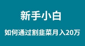 新手小白如何通过割韭菜月入 20W-逍遥游