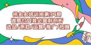 拼多多培训班第34期：做高价女装必盈利剖析  选品/测款/运营/推广/拓展-逍遥游