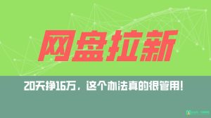 网盘拉新+私域全自动玩法，0粉起号，小白可做，当天见收益，已测单日破5000-逍遥游