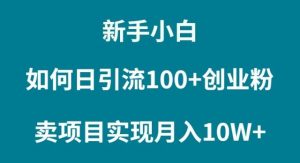 新手小白如何通过卖项目实现月入10W+-逍遥游