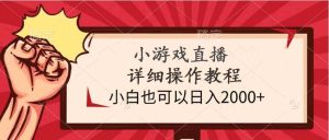 小游戏直播详细操作教程,小白也可以日入2000+-逍遥游