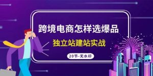 跨境电商怎样选爆品，独立站建站实战（20节高清无水印课）-逍遥游