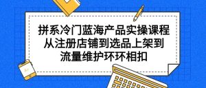 拼系冷门蓝海产品实操课程，从注册店铺到选品上架到流量维护环环相扣-逍遥游