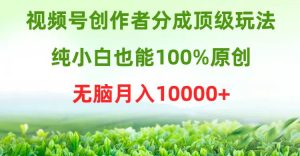 视频号创作者分成顶级玩法，纯小白也能100%原创，无脑月入10000+-逍遥游