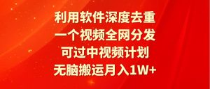 利用软件深度去重，一个视频全网分发，可过中视频计划，无脑搬运月入1W+-逍遥游