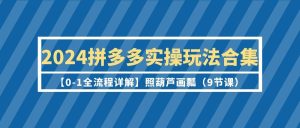 2024拼多多实操玩法合集【0-1全流程详解】照葫芦画瓢（9节课）-逍遥游