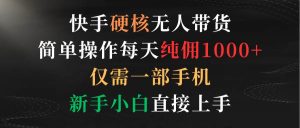 快手硬核无人带货,简单操作每天纯佣1000+,仅需一部手机,新手小白直接上手-逍遥游