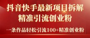 2024年抖音快手最新项目拆解视频引流创业粉，一天轻松引流精准创业粉100+-逍遥游