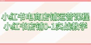 小红书电商店铺运营课程,小红书店铺0-1实战教学(60节课)-逍遥游