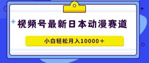 视频号日本动漫蓝海赛道，100%原创，小白轻松月入10000＋-逍遥游