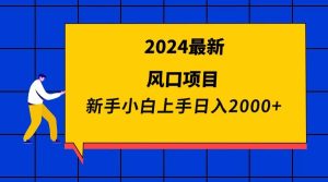 2024最新风口项目 新手小白日入2000+-逍遥游