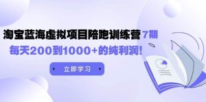 黄岛主《淘宝蓝海虚拟项目陪跑训练营7期》每天200到1000+的纯利润-逍遥游