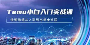 Temu小白入门实战课:跨境拼多多电商培训 快速跑通从入驻到出单全流程-12节-逍遥游