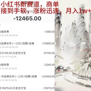 小红书新赛道，商单接到手软，涨粉迅速，月入1w+-逍遥游
