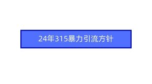 2024年315暴力引流方针-逍遥游