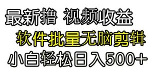 发视频撸收益，软件无脑批量剪辑，第一天发第二天就有钱-逍遥游