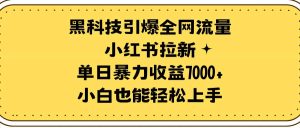 黑科技引爆全网流量小红书拉新,单日暴力收益7000+,小白也能轻松上手-逍遥游