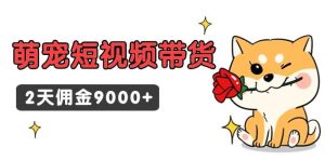 东哲日记·萌宠短视频带货,2天佣金9000+-逍遥游