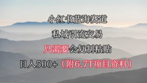 小红书短剧赛道,私域引流交易,会复制粘贴,日入500+(附6.7T短剧资源)-逍遥游