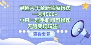 寻道大千全新蓝海玩法，一天4000+，小白一部手机即可操作，无脑变现玩法！-逍遥游