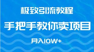 极致引流教程，手把手教你卖项目，月入10W+-逍遥游