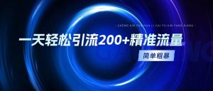 一天轻松引流200+精准流量，简单粗暴，一看就会-逍遥游