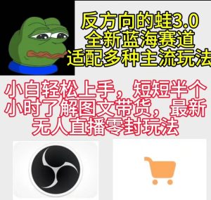 反方向的蛙3.0,图文最新玩法,变现多元化,新蓝海项目,小白轻松上手-逍遥游