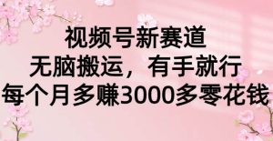 视频号新赛道，无脑搬运，有手就行，每个月多赚3000多零花钱-逍遥游