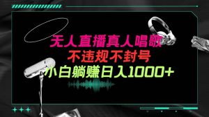 抖音24小时无人直播音乐，不违规，不封号纯撸音浪，小白实操当天日入1000+-逍遥游
