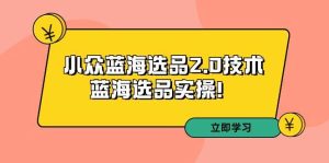 拼多多培训第33期:小众蓝海选品2.0技术-蓝海选品实操!-逍遥游