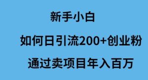 新手小白如何日引流200+创业粉通过卖项目年入百万-逍遥游