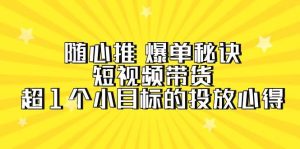 随心推 爆单秘诀，短视频带货-超1个小目标的投放心得（7节视频课）-逍遥游