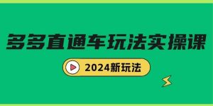 多多直通车玩法实战课，2024新玩法（7节课）-逍遥游