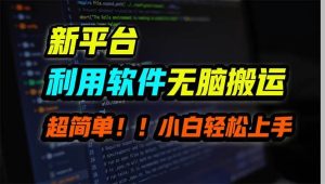 新平台用软件无脑搬运，月赚10000+，小白也能轻松上手-逍遥游
