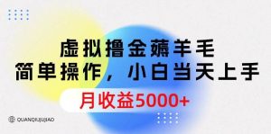 虚拟撸金薅羊毛，简单操作，小白当天上手，月收益5000+-逍遥游