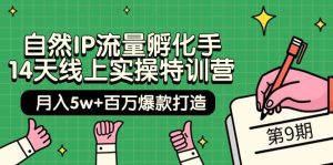 自然IP流量孵化手 14天线上实操特训营【第9期】月入5w+百万爆款打造 (74节)-逍遥游
