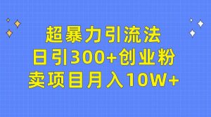 超暴力引流法,日引300+创业粉,卖项目月入10W+-逍遥游