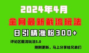 刚刚研究的最新评论区截留玩法，日引流突破300+，颠覆以往垃圾玩法，比…-逍遥游