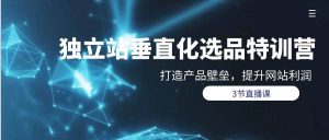 独立站-垂直化选品训练营，打造产品壁垒，提升网站利润（3节直播课）-逍遥游
