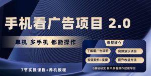 手机看广告项目2.0,单机收益30+,提现秒到账可矩阵操作-逍遥游