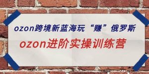 ozon跨境新蓝海玩“赚”俄罗斯，ozon进阶实操训练营-逍遥游