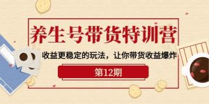 养生号带货特训营【12期】收益更稳定的玩法，让你带货收益爆炸-9节直播课-逍遥游