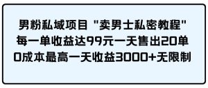 男粉私域项目 卖男士私密教程 每一单收益达99元一天售出20单-逍遥游