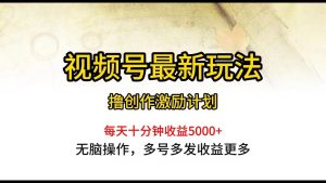 视频号最新玩法，每日一小时月入5000+-逍遥游