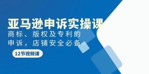 亚马逊-申诉实战课，商标、版权及专利的申诉，店铺安全必备-逍遥游