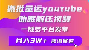 批量搬运YouTube解压助眠视频 一键多平台发布 月入2W+-逍遥游