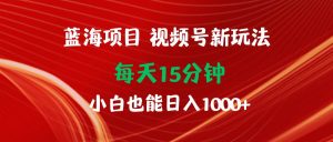 蓝海项目视频号新玩法 每天15分钟 小白也能日入1000+-逍遥游