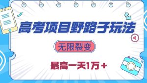 2024高考项目野路子玩法，无限裂变，最高一天1W＋！-逍遥游