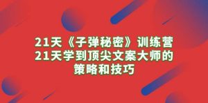 21天《子弹秘密》训练营，21天学到顶尖文案大师的策略和技巧-逍遥游